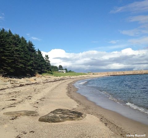 Photo028 Haley Russell