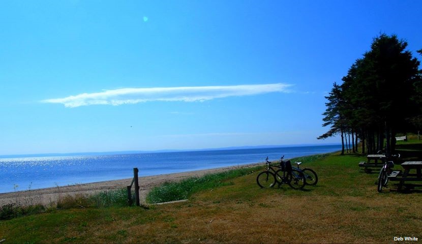 John MacCallum Memorial Park